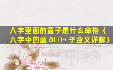 八字里面的童子是什么命格（八字中的童 🐬 子含义详解）